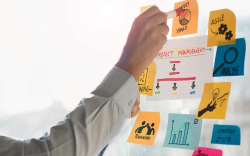 Hassle-Free Management